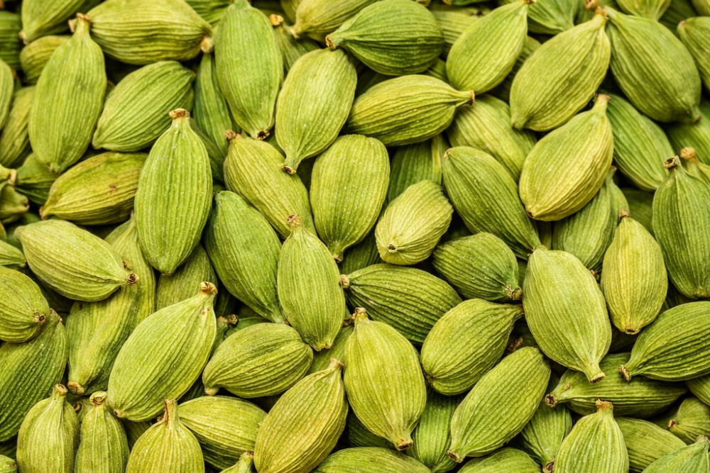 Green Cardamom