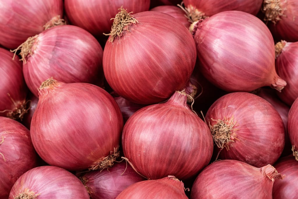 Fresh Onions
